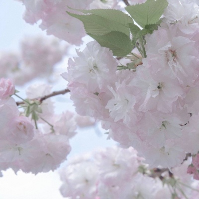 兽设草原场景绘制福瑞交流群